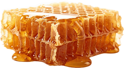 Honeycomb