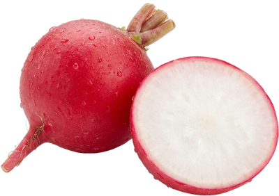 Radish